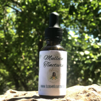 Mullein Tincture (1 oz dropper bottle)