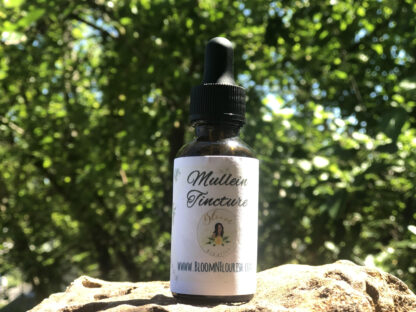 Mullein Tincture (1 oz dropper bottle)